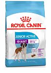 ROYAL CANIN GIANT Junior Active 15 кг