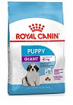 ROYAL CANIN GIANT Puppy 3.5кг