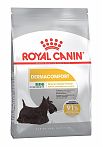 ROYAL CANIN MINI Small Dogs Dermacomfort 3кг