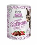 Brit Care Лакомство для стерилизованных кошек Superfruits Salmon sterilised с лососем 100г  