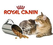 Royal Canin (сухой)