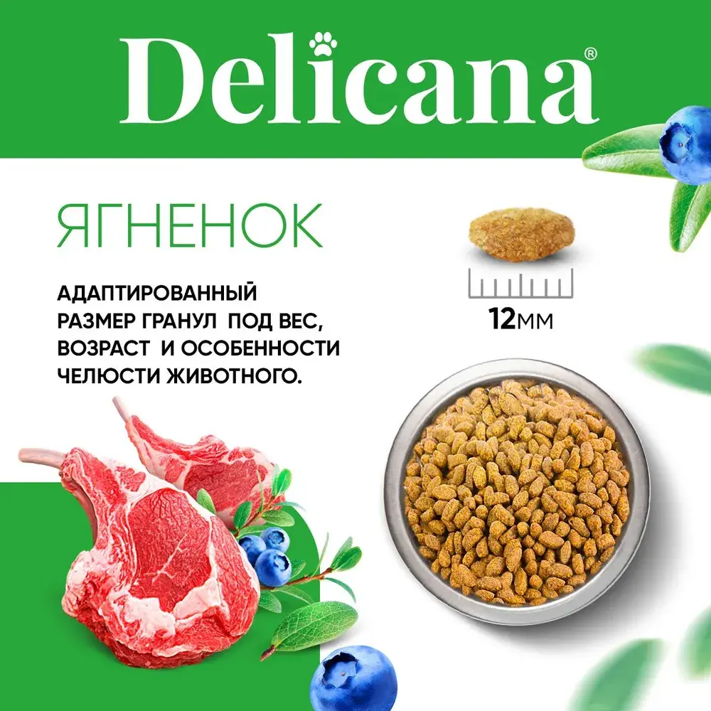 DELICANA STERILISED Сухой корм для стерилизованных кошек и кастрированных котов Ягненок 400г