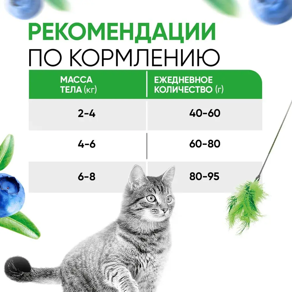 DELICANA STERILISED Сухой корм для стерилизованных кошек и кастрированных котов Ягненок 400г