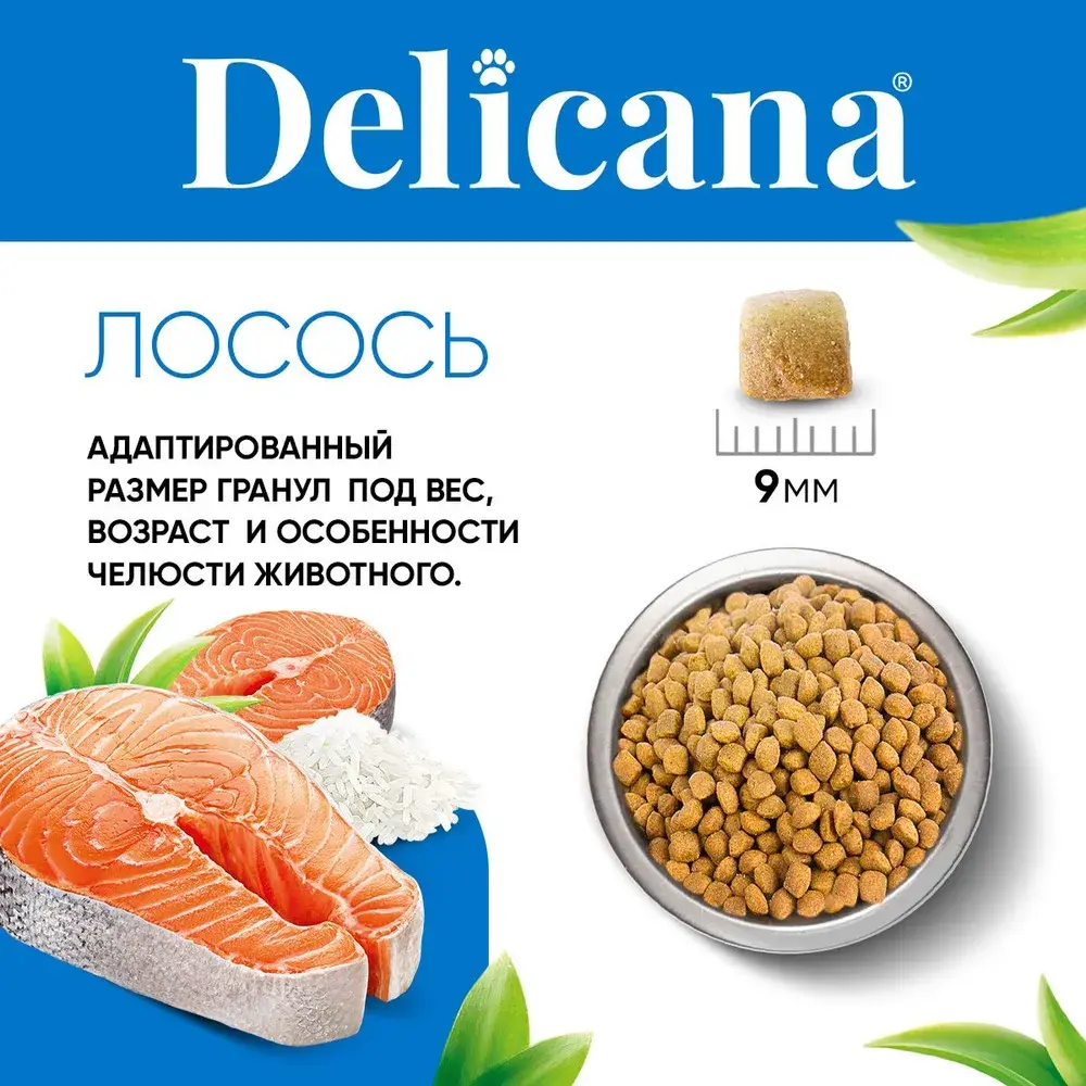 DELICANA Сухой корм для взрослых кошек Лосось 8кг