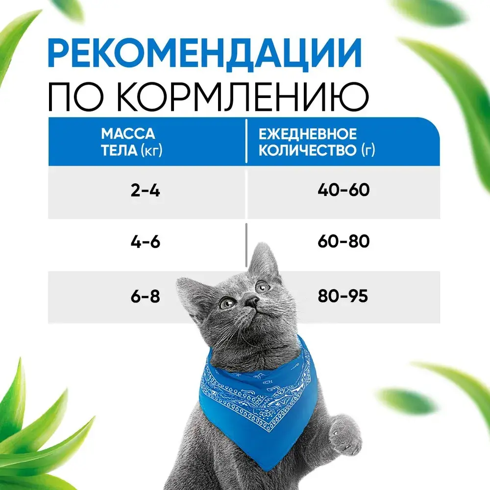 DELICANA Сухой корм для взрослых кошек Лосось 8кг