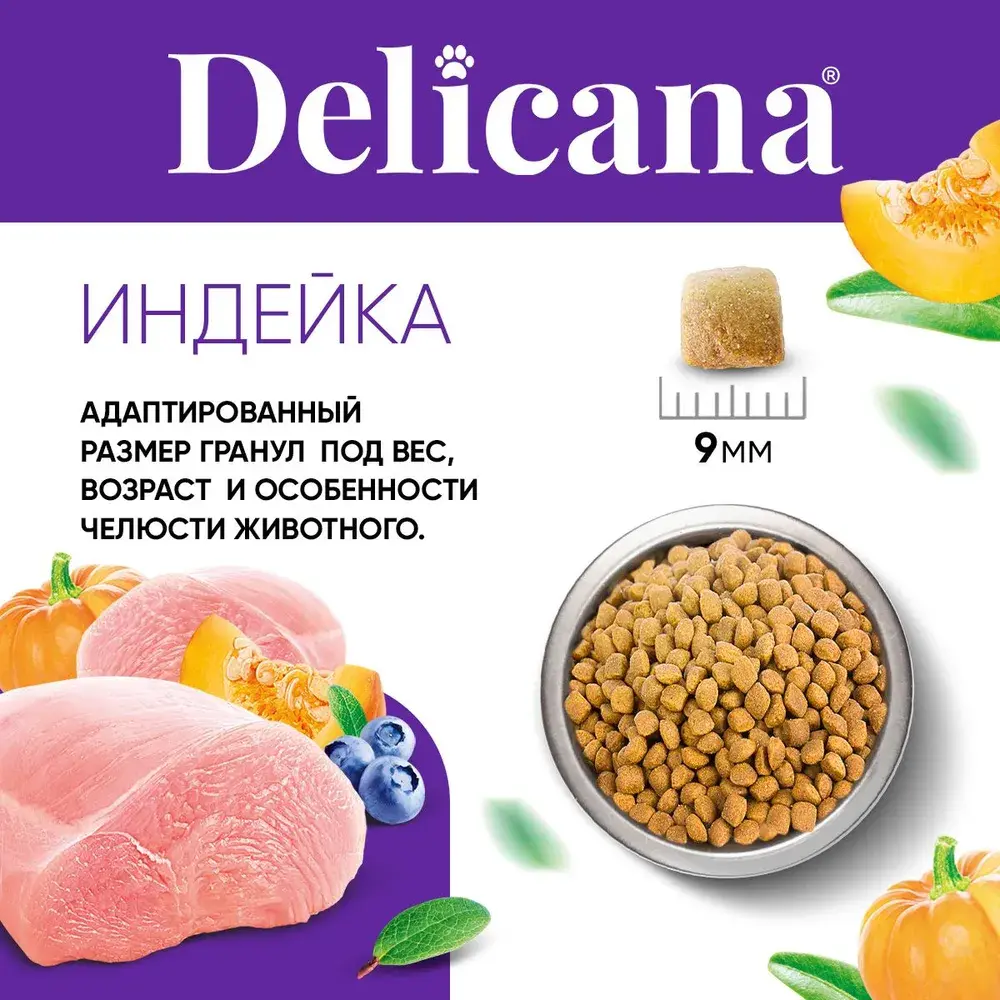 DELICANA Сухой корм для взрослых кошек с чувствительным пищеварением Индейка 1,5кг