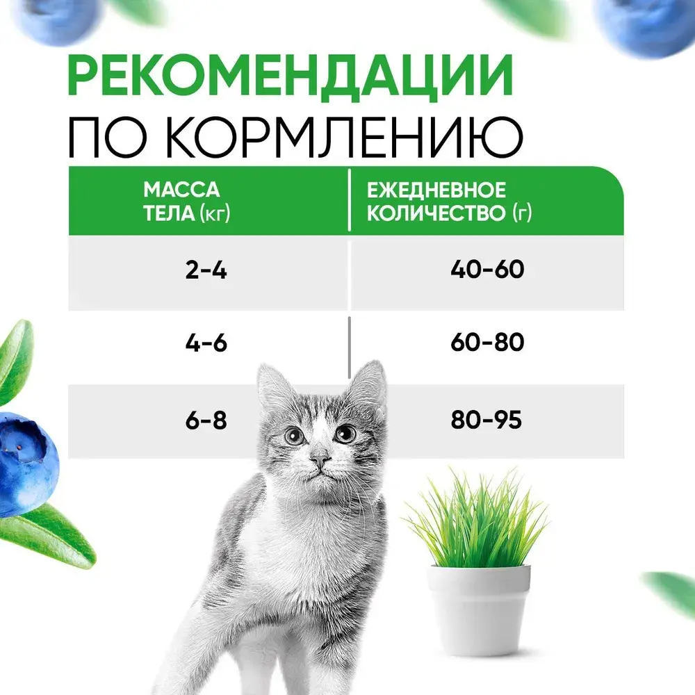 DELICANA Сухой корм для взрослых кошек Ягненок 8кг