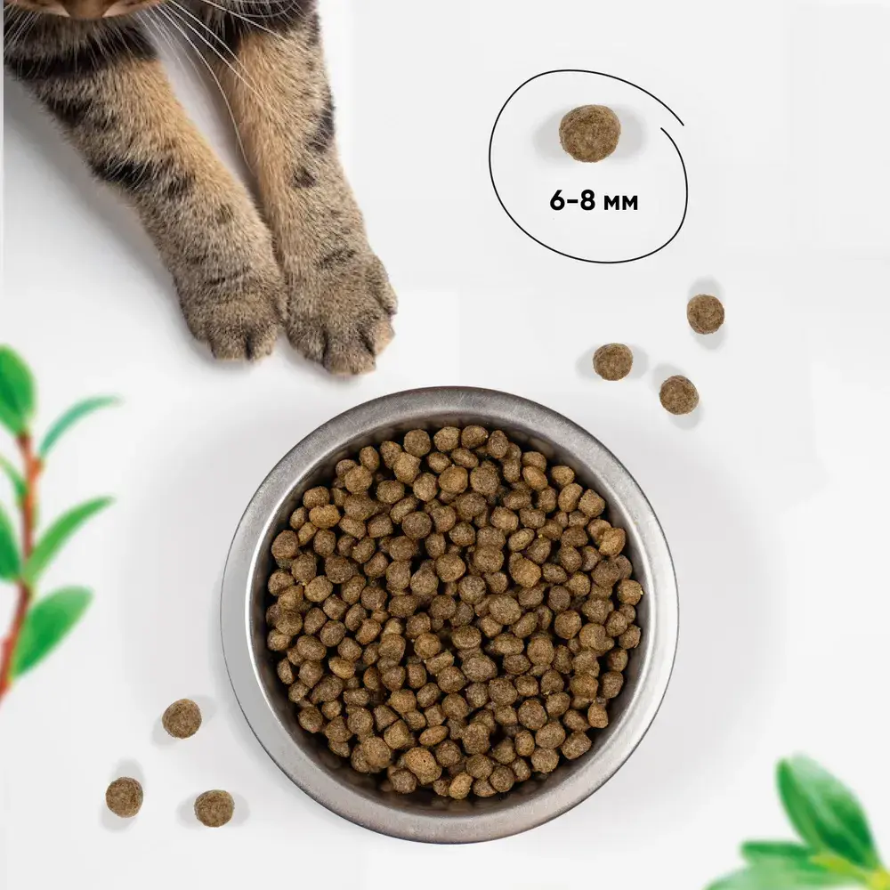 MeatGraden BASIC MOM&KITTEN Сухой корм для котят, беременных и кормящих кошек с индейкой и нежной телятиной 400г