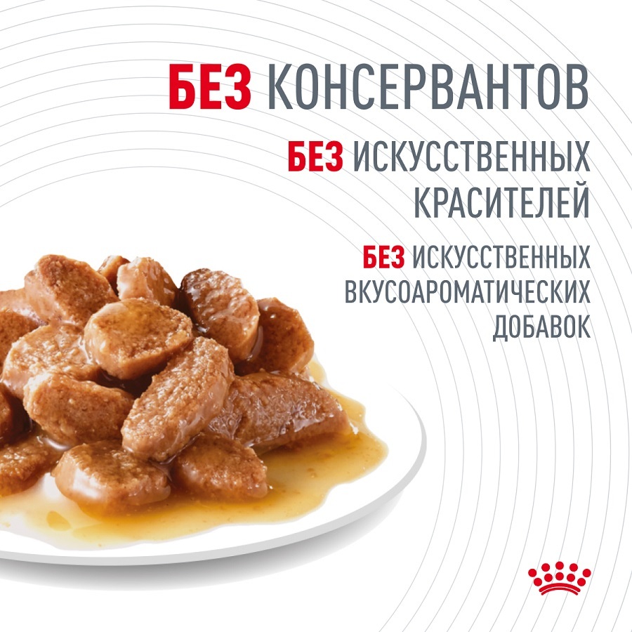 ROYAL CANIN Digestive care Корм влажный для взрослых кошек с чувствительным пищеварением 28шт*85гр (соус)