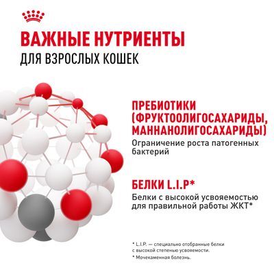 ROYAL CANIN Digestive care Сухой корм для кошек с чувствительной пищеварительной системой 2кг