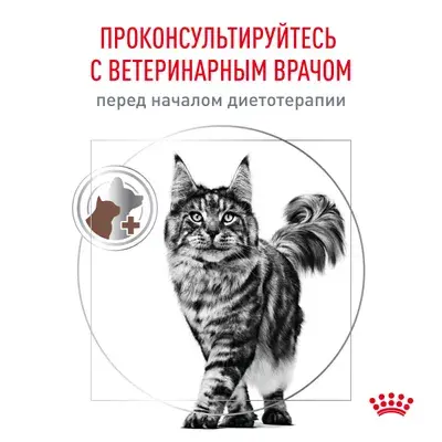 ROYAL CANIN Gastrointestinal Moderate Calorie for Cat Сухой корм для кошек, склонных к набору лишнего веса, при расстройствах пищеварения 350г