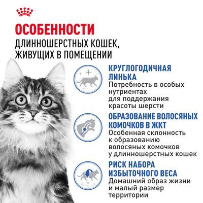 ROYAL CANIN Indoor Long Hair Сухой корм для длинношерстных кошек, живущих в помещении 10кг