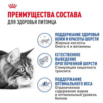 ROYAL CANIN Indoor Long Hair Сухой корм для длинношерстных кошек, живущих в помещении 10кг