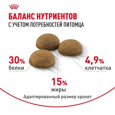 ROYAL CANIN Indoor Long Hair Сухой корм для длинношерстных кошек, живущих в помещении 10кг