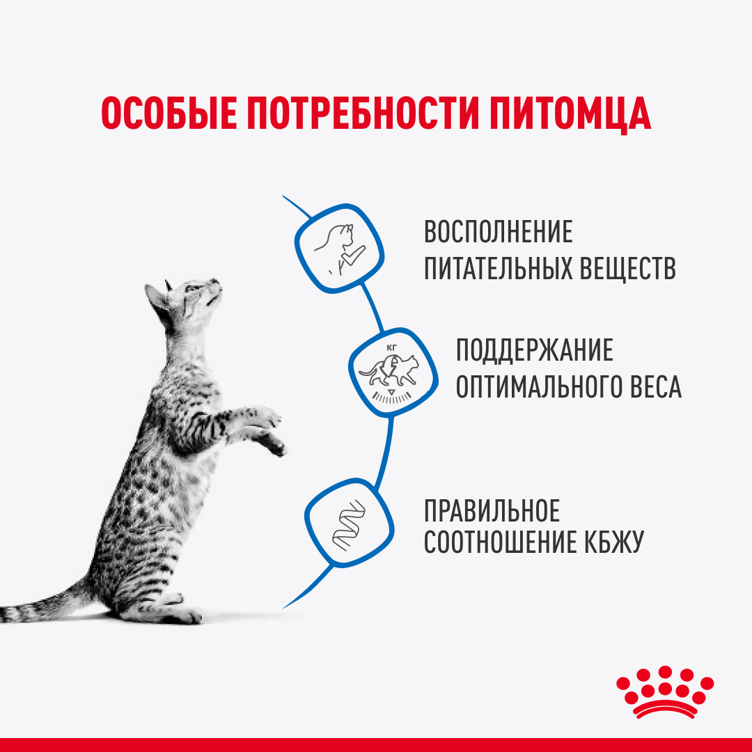 ROYAL CANIN Indoor Sterilised Влажный корм для кошек постоянно живущих в помещении 28шт*85г (в соусе, пауч)