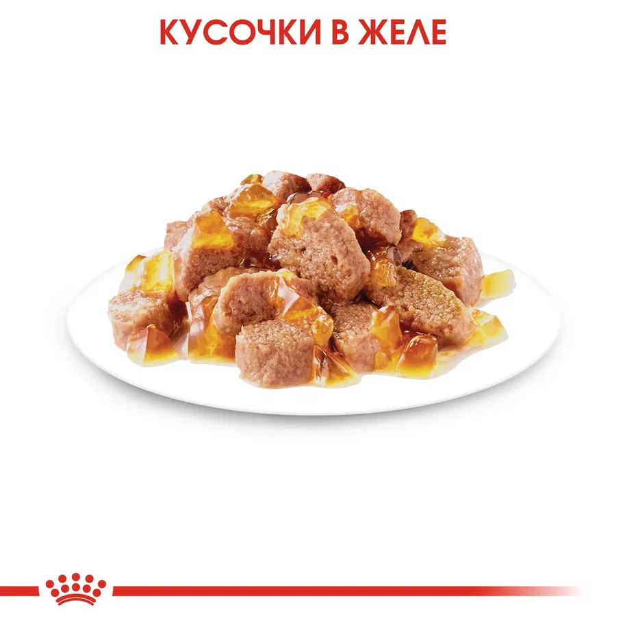 ROYAL CANIN Instinctive Корм влажный для взрослых кошек 28шт*85г (в желе, пауч)