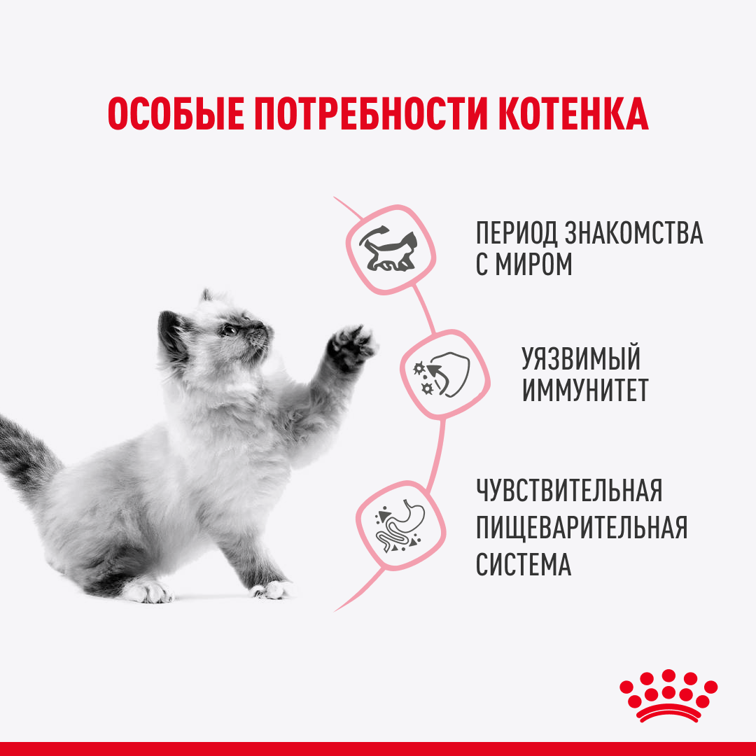 ROYAL CANIN Kitten Sterilised Влажный корм для стерилизованных котят с 6 до 12 месяцев 28шт*85гр (в соусе)