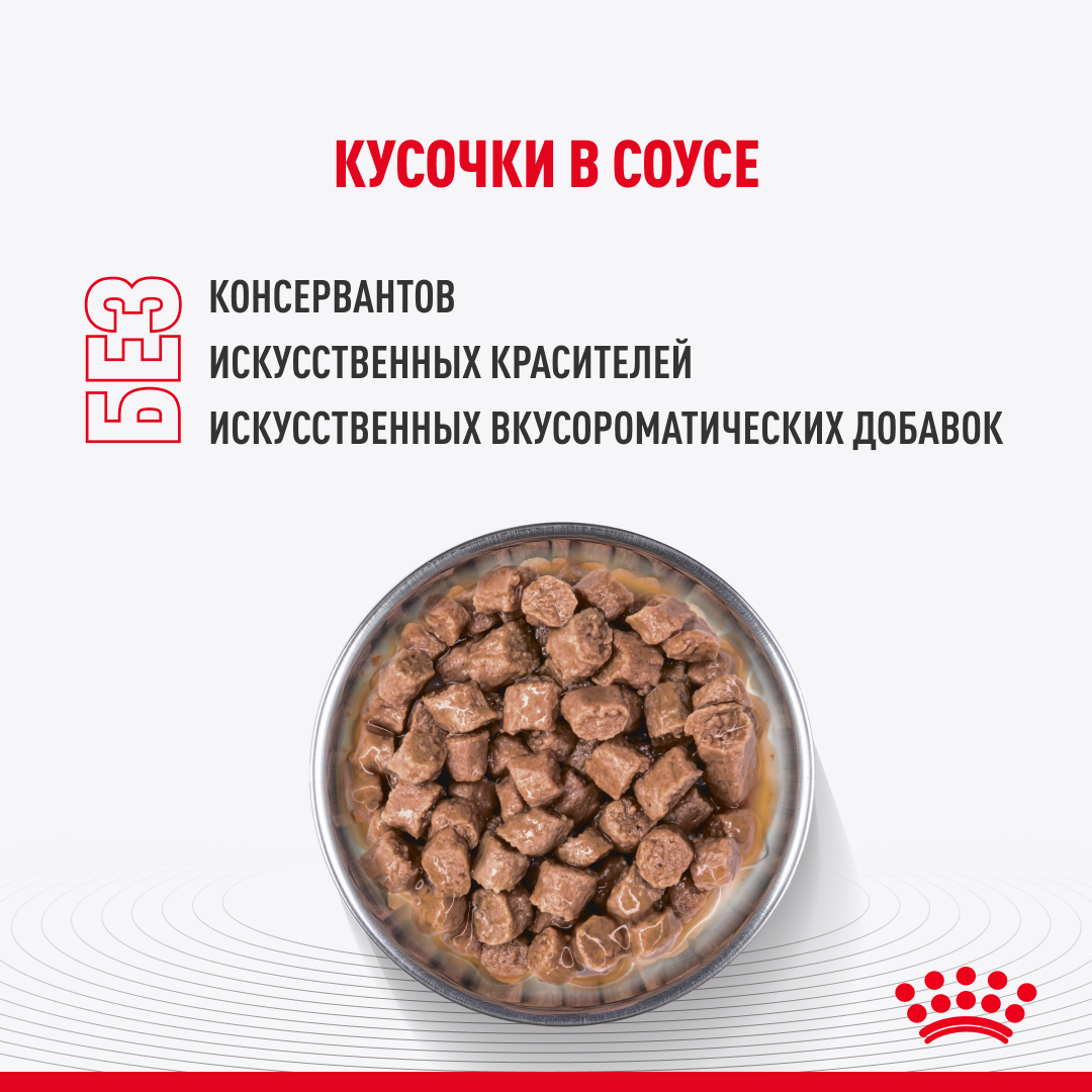 ROYAL CANIN Kitten Sterilised Влажный корм для стерилизованных котят с 6 до 12 месяцев 28шт*85гр (в соусе)