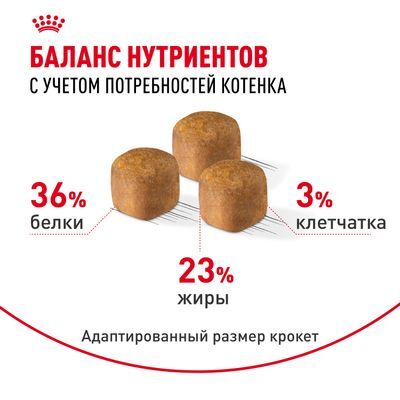 ROYAL CANIN Maine Coon Kitten Полнорационный сухой корм для котят породы мейн-кун от 3 до 15 месяцев 10кг