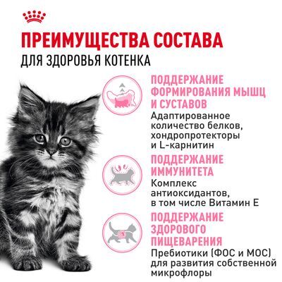 ROYAL CANIN Maine Coon Kitten Полнорационный сухой корм для котят породы мейн-кун от 3 до 15 месяцев 10кг
