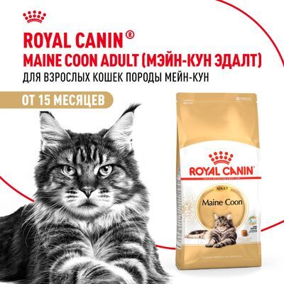 ROYAL CANIN Maine Coon Сухой корм для кошек породы мейн-кун старше 15 месяцев 10кг