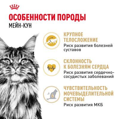 ROYAL CANIN Maine Coon Сухой корм для кошек породы мейн-кун старше 15 месяцев 10кг