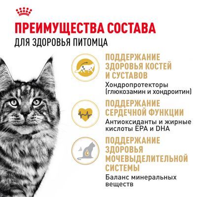 ROYAL CANIN Maine Coon Сухой корм для кошек породы мейн-кун старше 15 месяцев 10кг