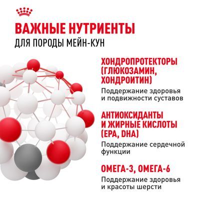ROYAL CANIN Maine Coon Сухой корм для кошек породы мейн-кун старше 15 месяцев 10кг