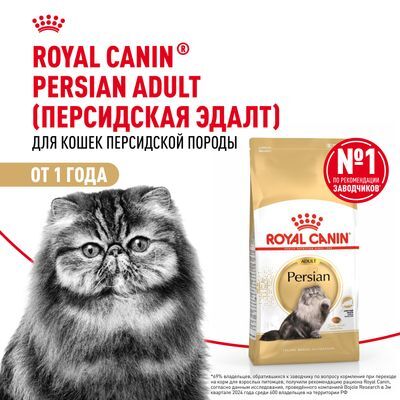 ROYAL CANIN Persian Сухой корм для персидских кошек старше 12 месяцев 10кг