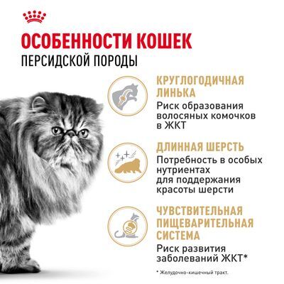 ROYAL CANIN Persian Сухой корм для персидских кошек старше 12 месяцев 10кг