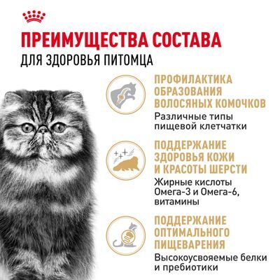 ROYAL CANIN Persian Сухой корм для персидских кошек старше 12 месяцев 10кг