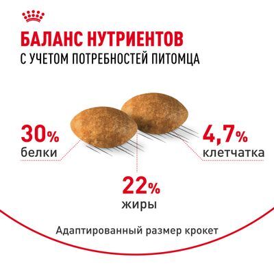 ROYAL CANIN Persian Сухой корм для персидских кошек старше 12 месяцев 10кг