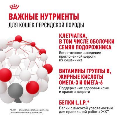 ROYAL CANIN Persian Сухой корм для персидских кошек старше 12 месяцев 10кг