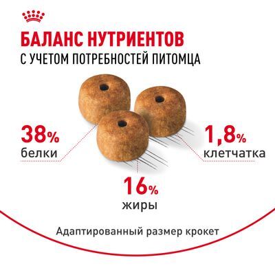 ROYAL CANIN Siamese Сухой корм для сиамских кошек старше 12 месяцев 2кг