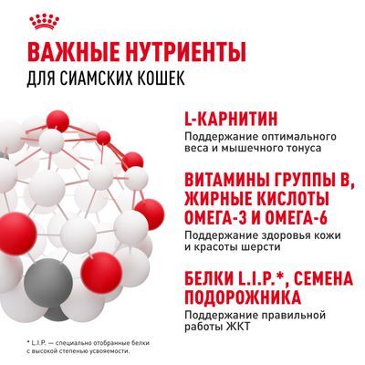 ROYAL CANIN Siamese Сухой корм для сиамских кошек старше 12 месяцев 2кг