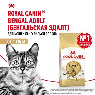ROYAL CANIN Bengal Adult Сухой корм для бенгальских кошек старше 12 месяцев 400г