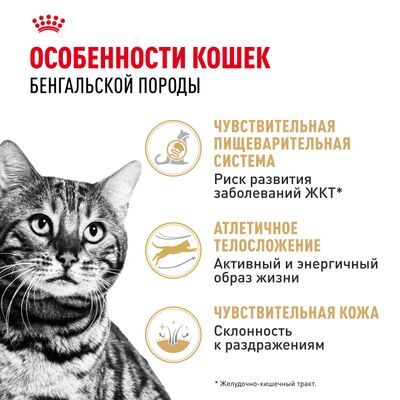 ROYAL CANIN Bengal Adult Сухой корм для бенгальских кошек старше 12 месяцев 400г