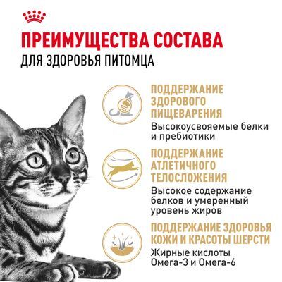 ROYAL CANIN Bengal Adult Сухой корм для бенгальских кошек старше 12 месяцев 400г