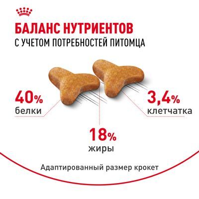 ROYAL CANIN Bengal Adult Сухой корм для бенгальских кошек старше 12 месяцев 400г