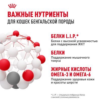 ROYAL CANIN Bengal Adult Сухой корм для бенгальских кошек старше 12 месяцев 400г