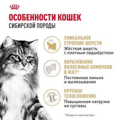 ROYAL CANIN Siberian Сухой корм для взрослых сибирских кошек старше 12 месяцев 400г