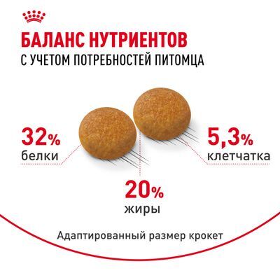 ROYAL CANIN Siberian Сухой корм для взрослых сибирских кошек старше 12 месяцев 400г