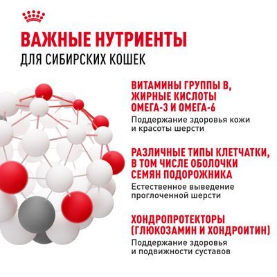 ROYAL CANIN Siberian Сухой корм для взрослых сибирских кошек старше 12 месяцев 400г