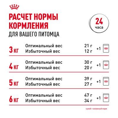 ROYAL CANIN Siberian Сухой корм для взрослых сибирских кошек старше 12 месяцев 400г