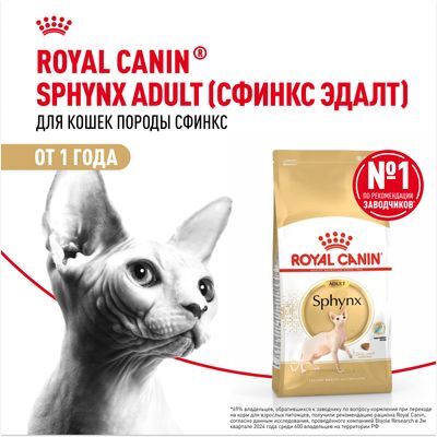 ROYAL CANIN Sphynx Сухой корм для кошек породы сфинкс старше 12 месяцев 2кг