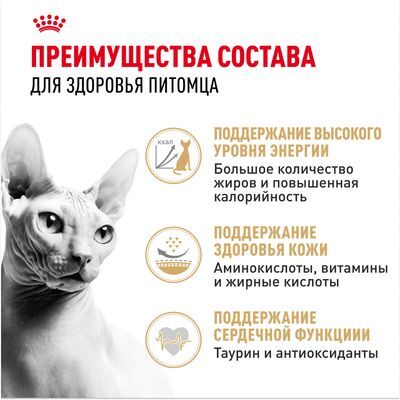 ROYAL CANIN Sphynx Сухой корм для кошек породы сфинкс старше 12 месяцев 2кг