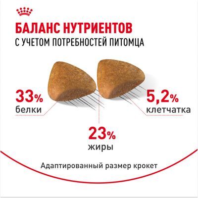 ROYAL CANIN Sphynx Сухой корм для кошек породы сфинкс старше 12 месяцев 2кг