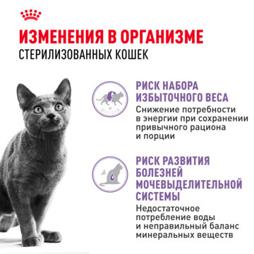 ROYAL CANIN Sterilised Корм влажный для стерилизованных взрослых кошек  28шт*85г (в соусе, пауч)