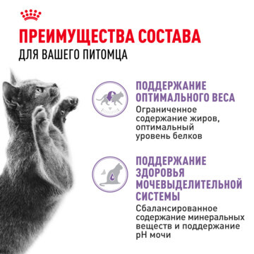 ROYAL CANIN Sterilised Корм влажный для стерилизованных взрослых кошек  28шт*85г (в соусе, пауч)