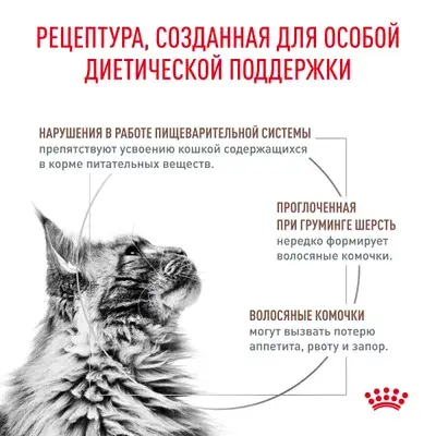 ROYAL CANIN Gastrointestinal Hairball for Cat Сухой корм для взрослых кошек для профилактики образования волосяных комочков 350г